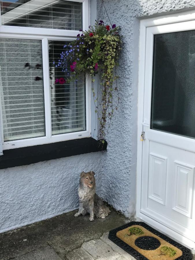 Brigid M'S Farm House Killashandra Exterior foto